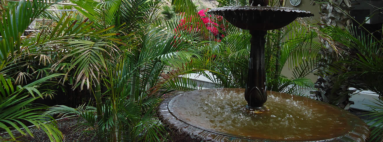  Un oasis para evadirse y disfrutar de la naturaleza